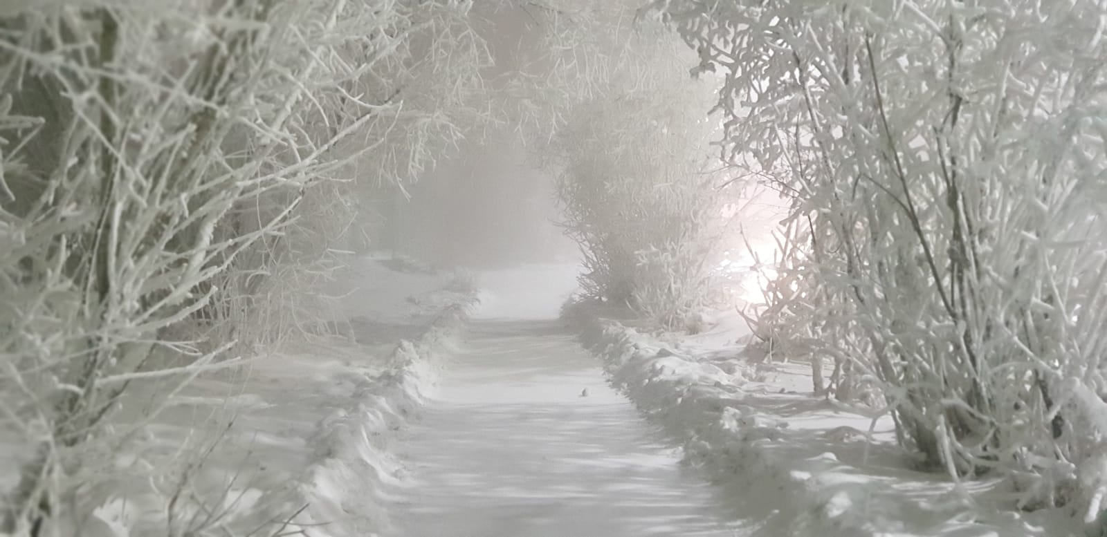 При какой температуре объявляются актированные дни?