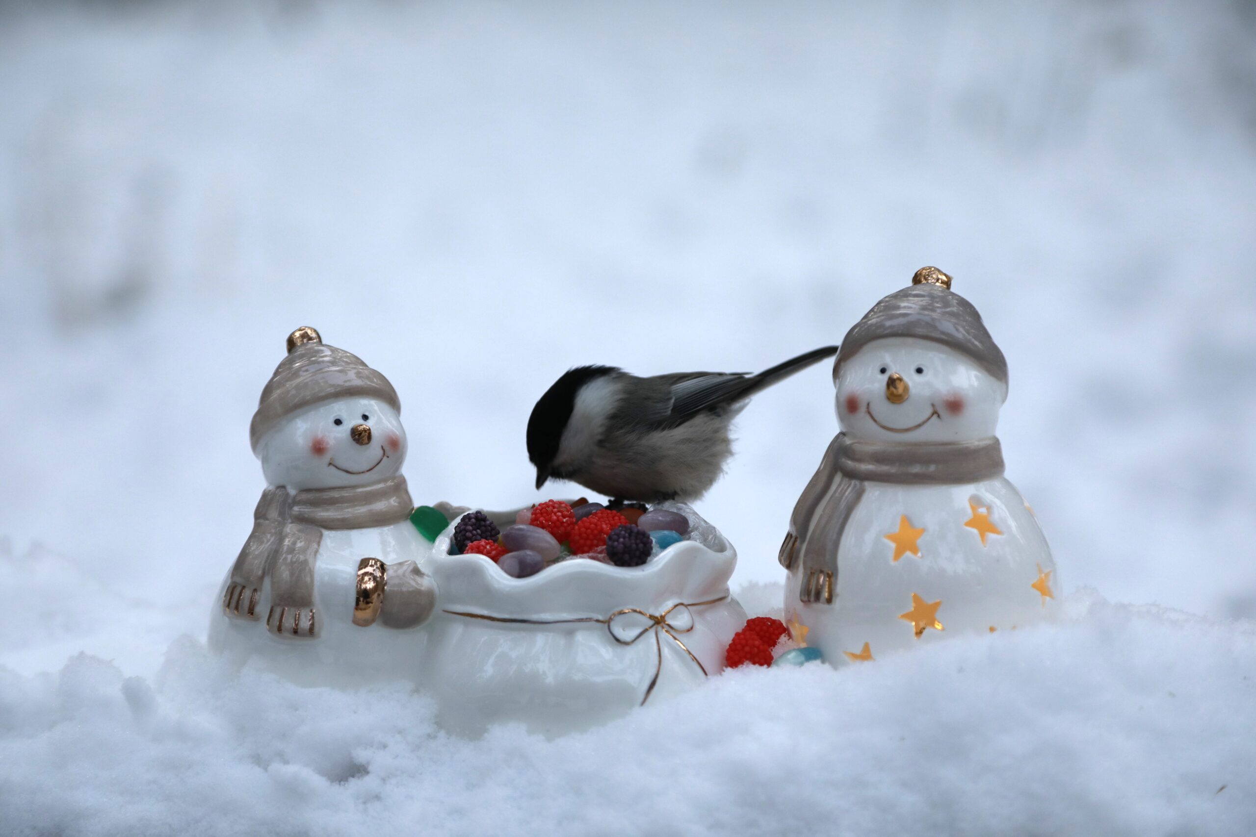 Сильный ветер и -52°: Оденьтесь потеплее