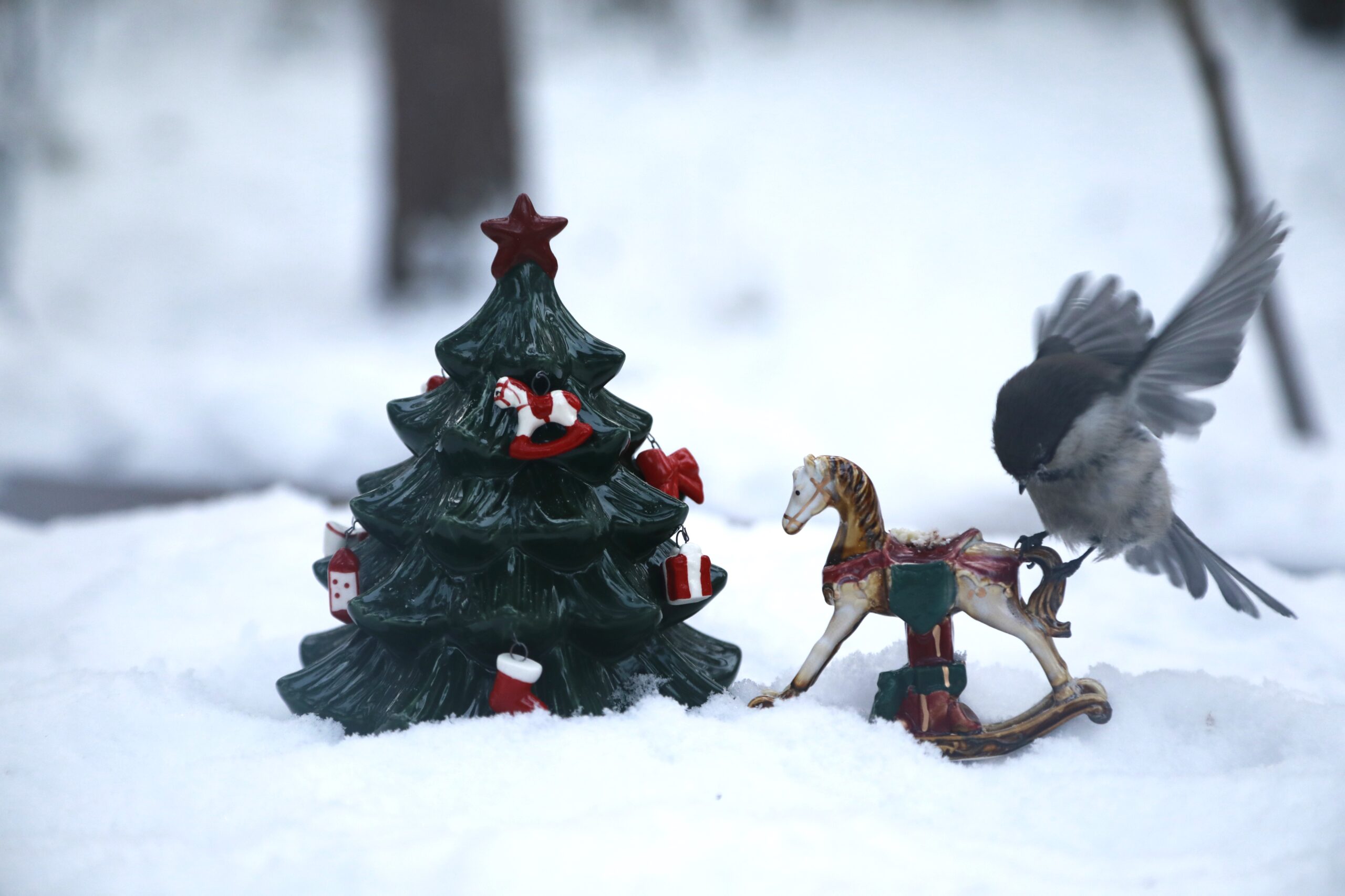 -50°: Вот это зима — настоящая, якутская!