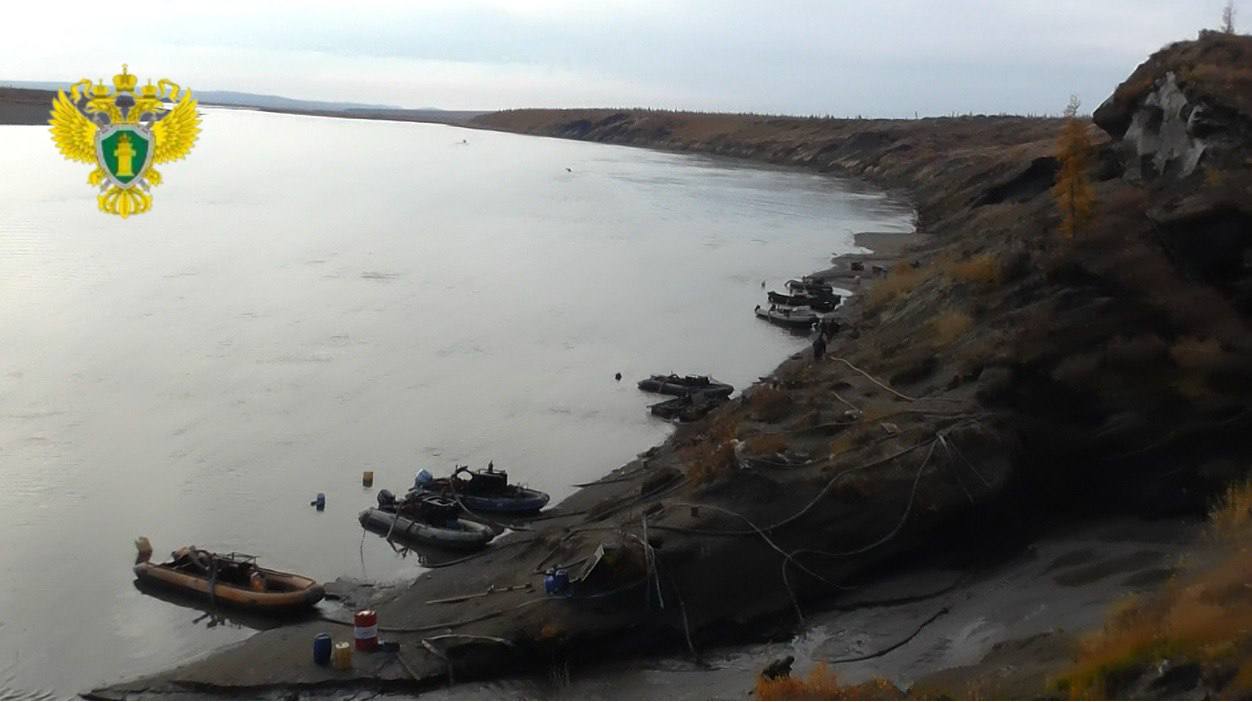 Браконьеры задержаны: Прокуратура раскрыла преступную схему