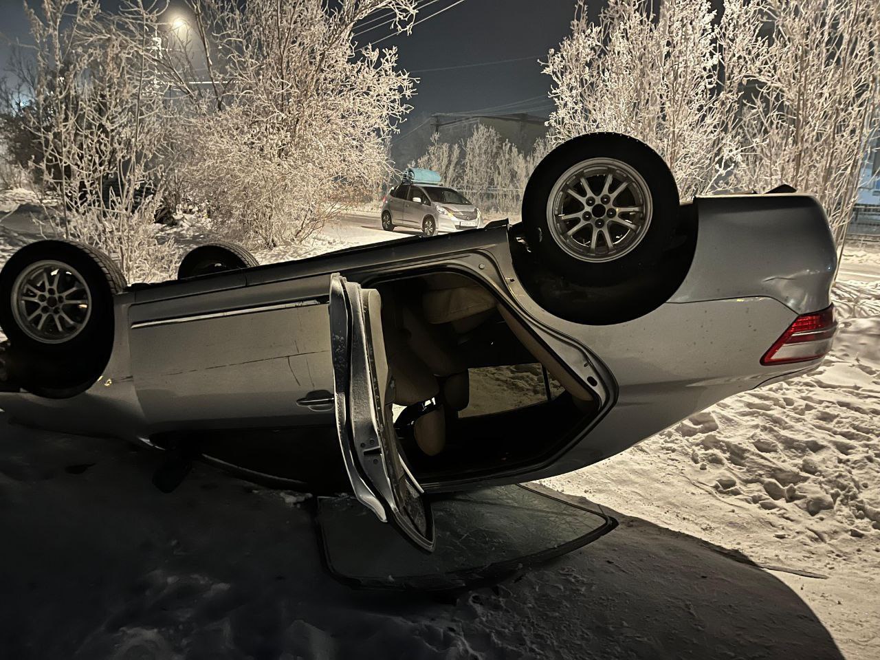 Напала, угнала, перевернула: Пострадал только маникюр