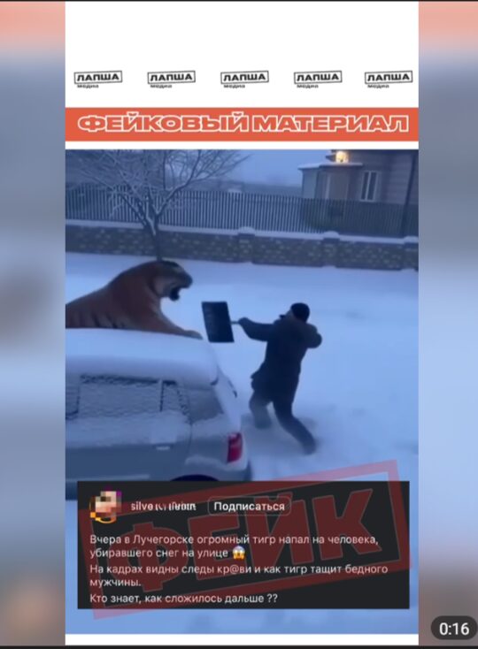 Фейковое видео с тигром, созданное ИИ, обернётся штрафом