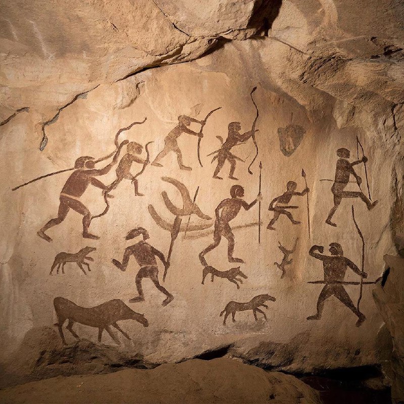 7 млн лет назад наши далёкие предки уже могли ходить прямо