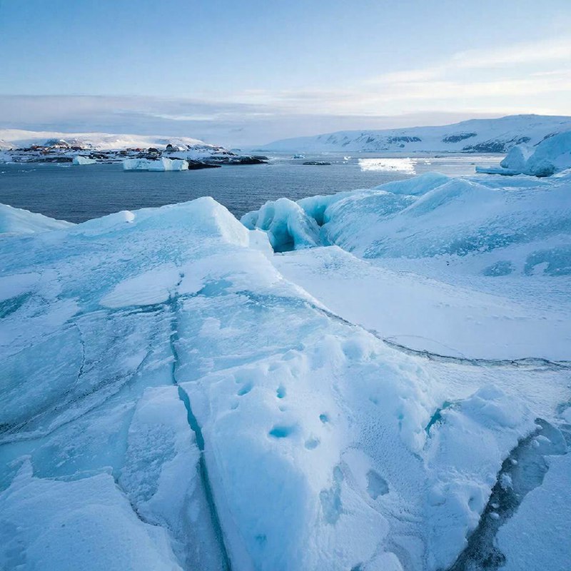 Власти Гренландии осудили попытки США установить контроль