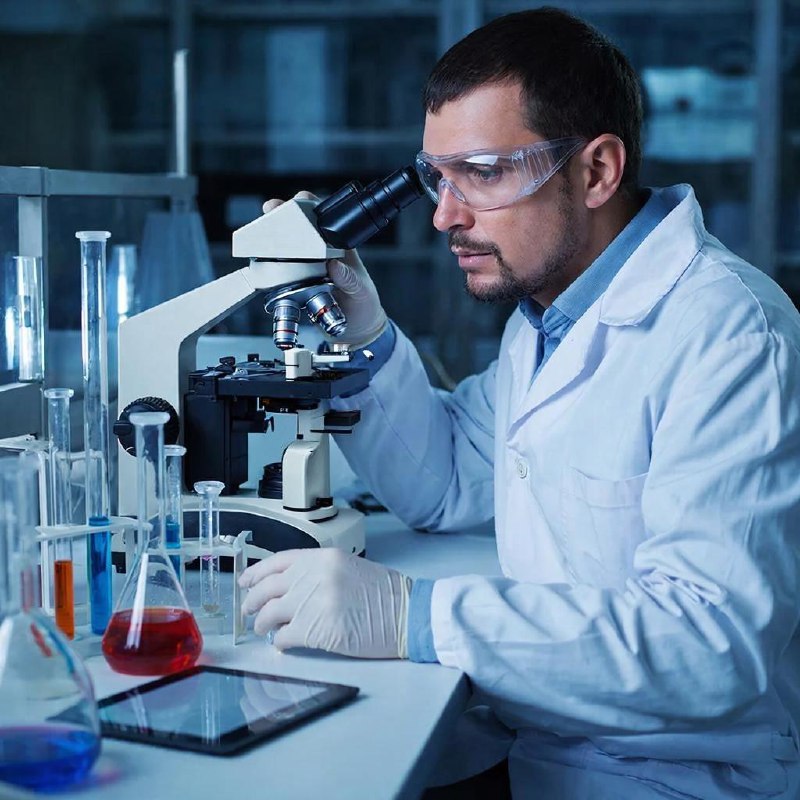 В Индии выявлен новый штамм оспы обезьян