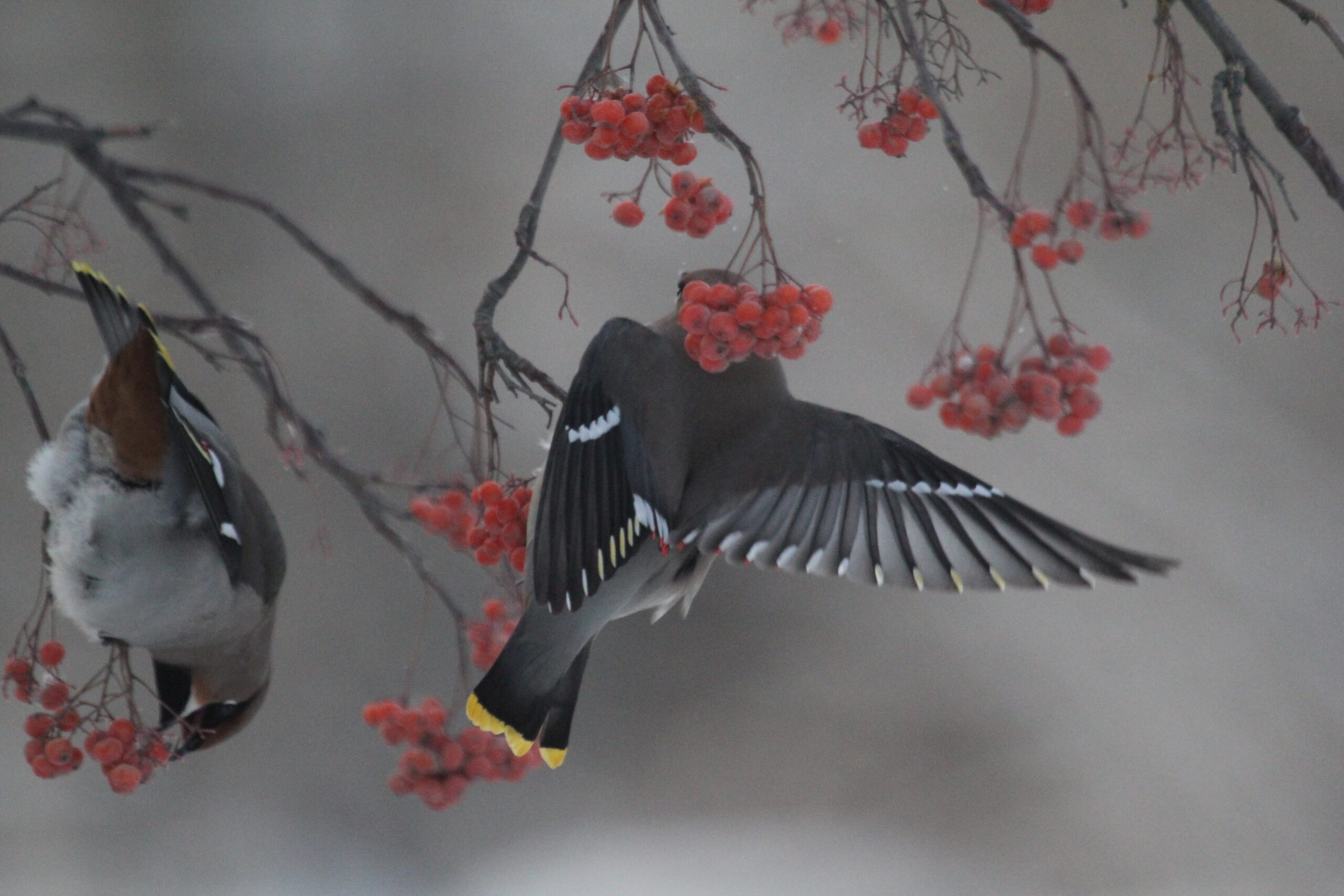 Зима почти закончилась: Холода отступили