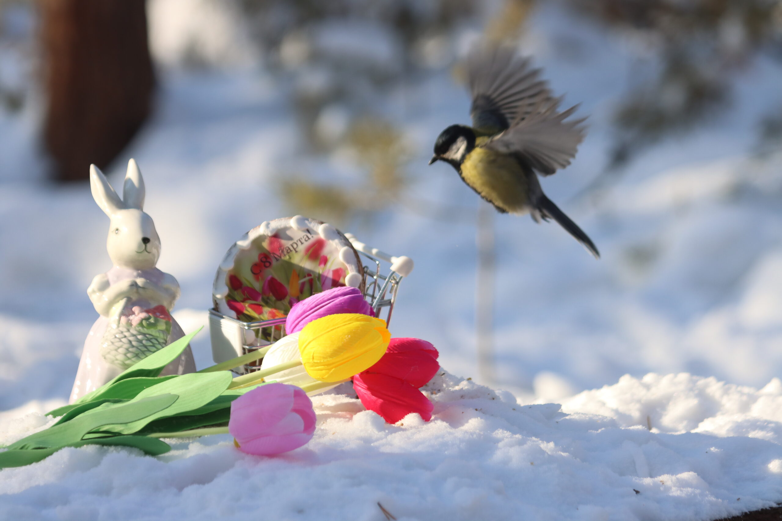 Перепады температуры зимой: Кто в зоне смертельной опасности