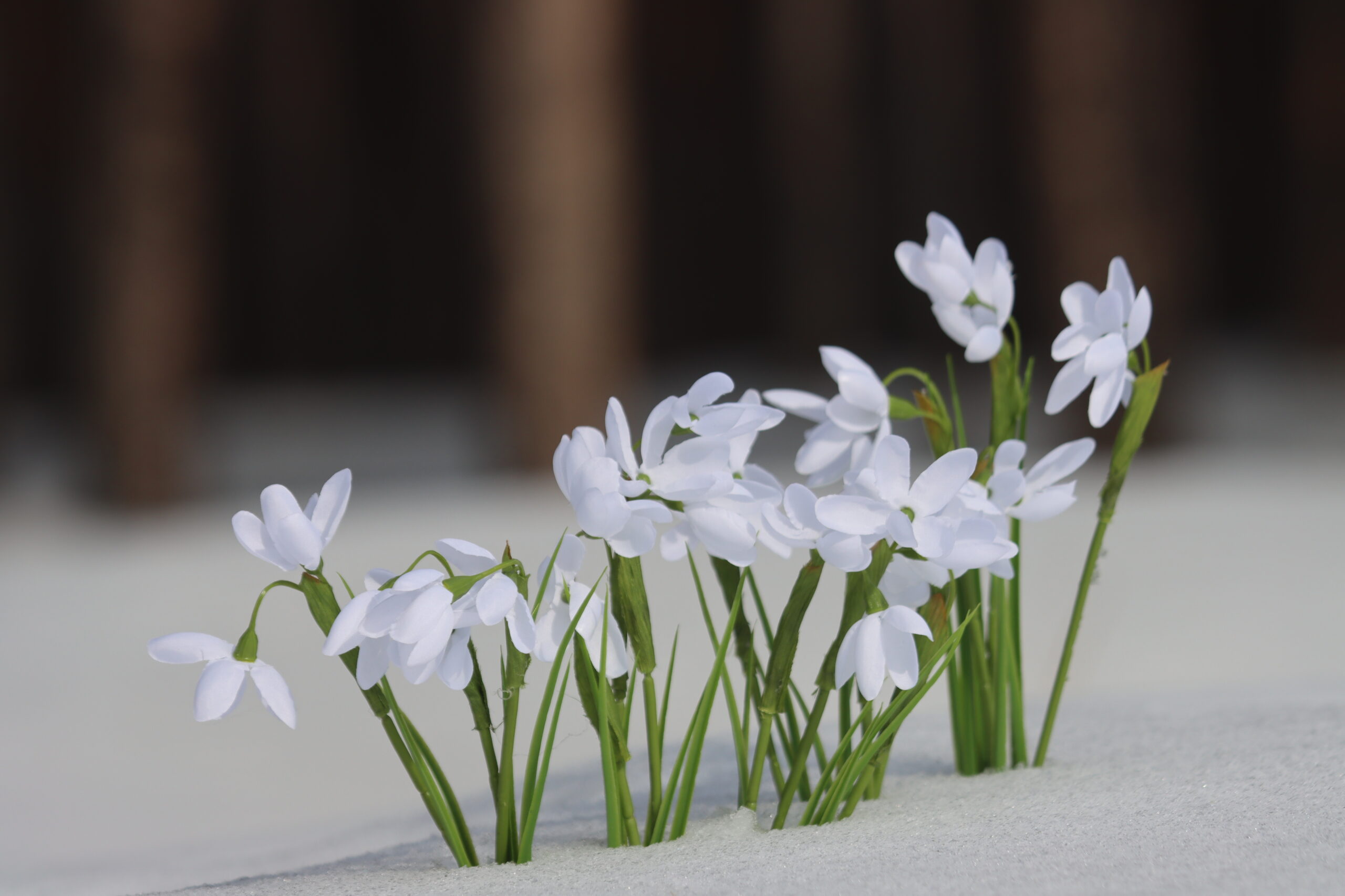 Нагло без очереди врывается весна: Местами всего -21°