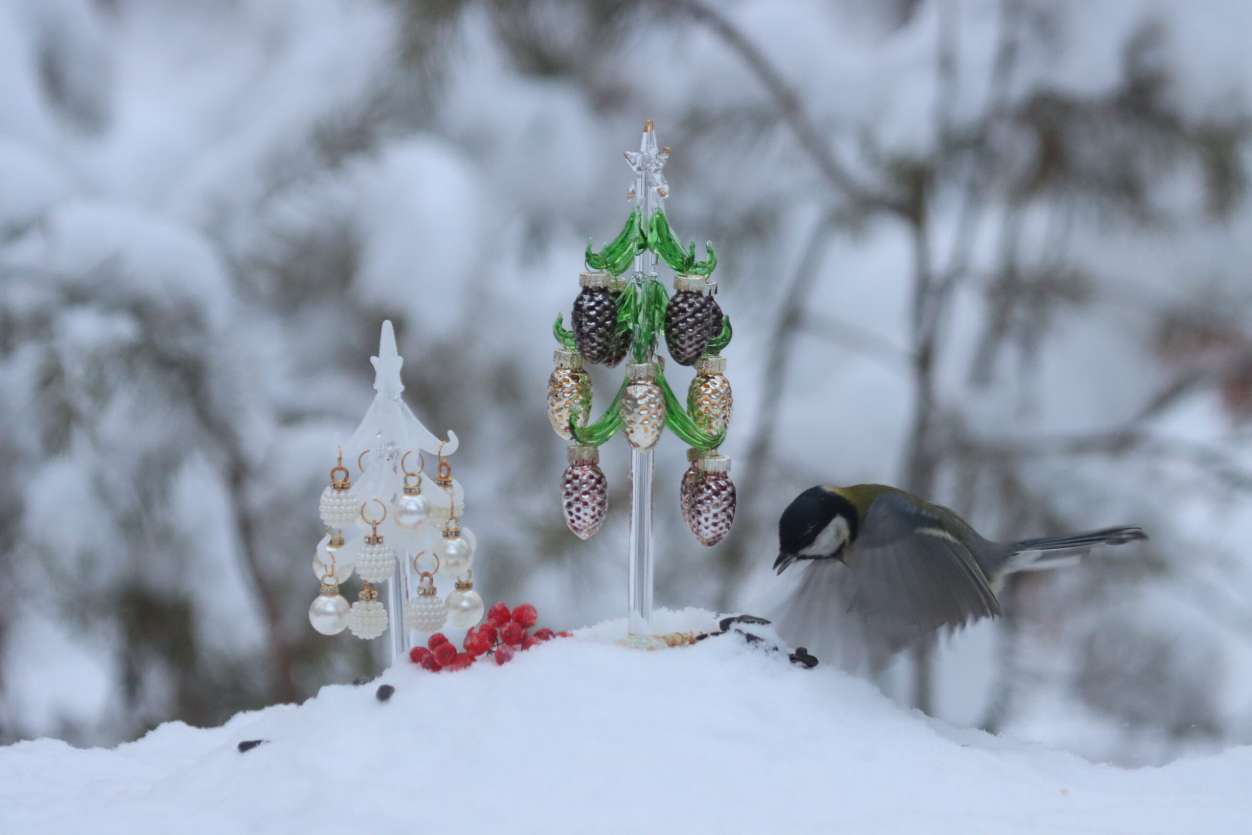 Невероятно! Аномальное тепло шокирует синоптиков