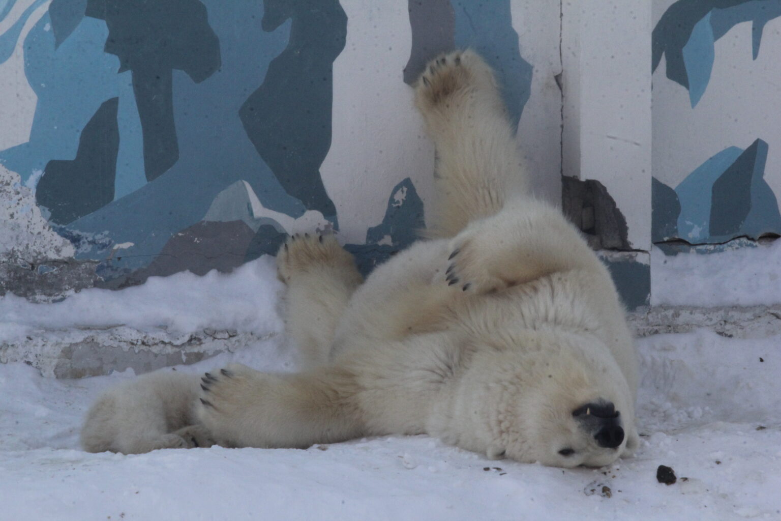 Где сейчас самые сильные морозы