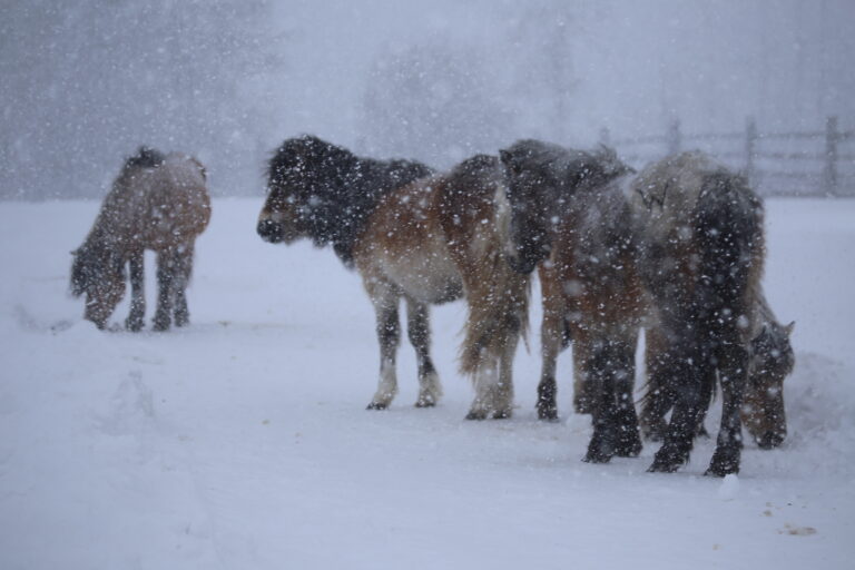 Экстренное предупреждение: Угроза возниконовения ЧС