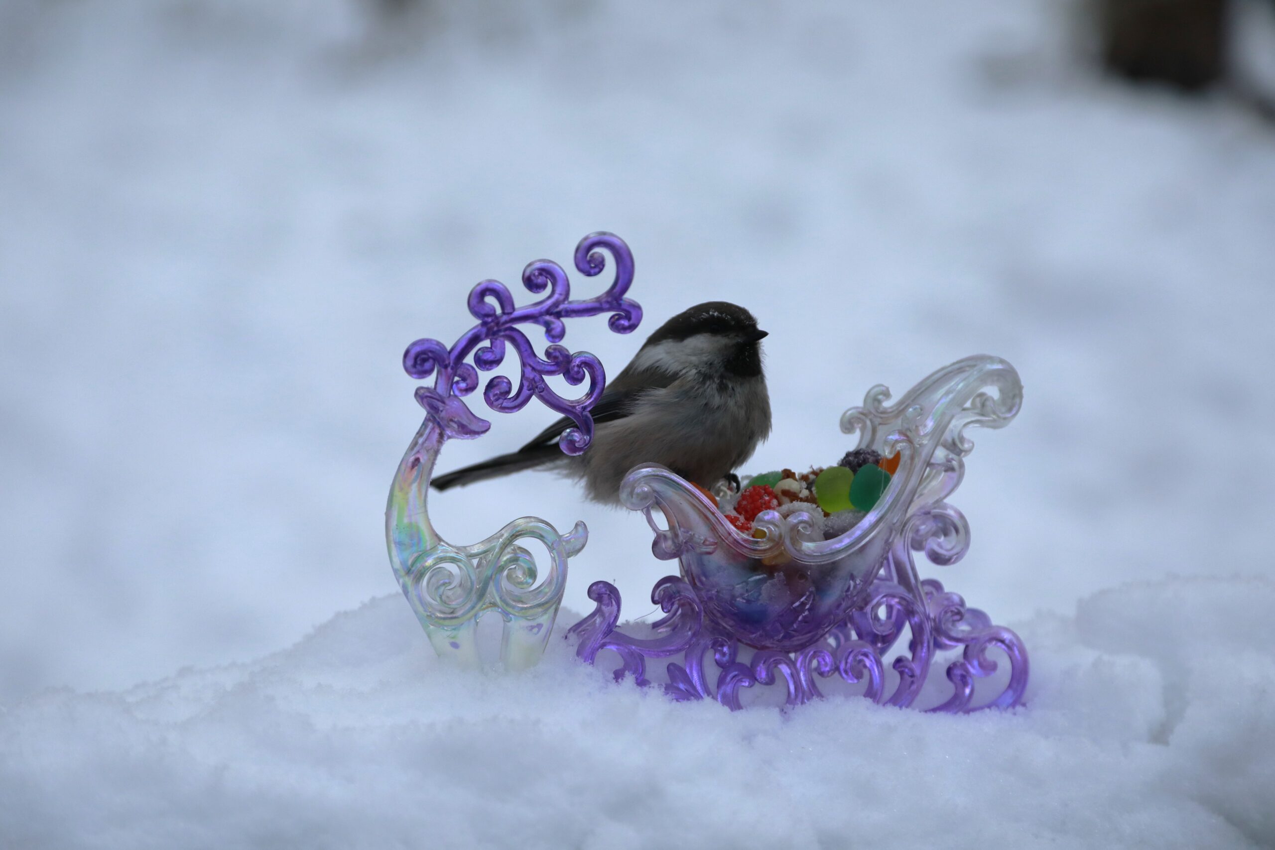 Какие законы вступают в силу с 1 января?