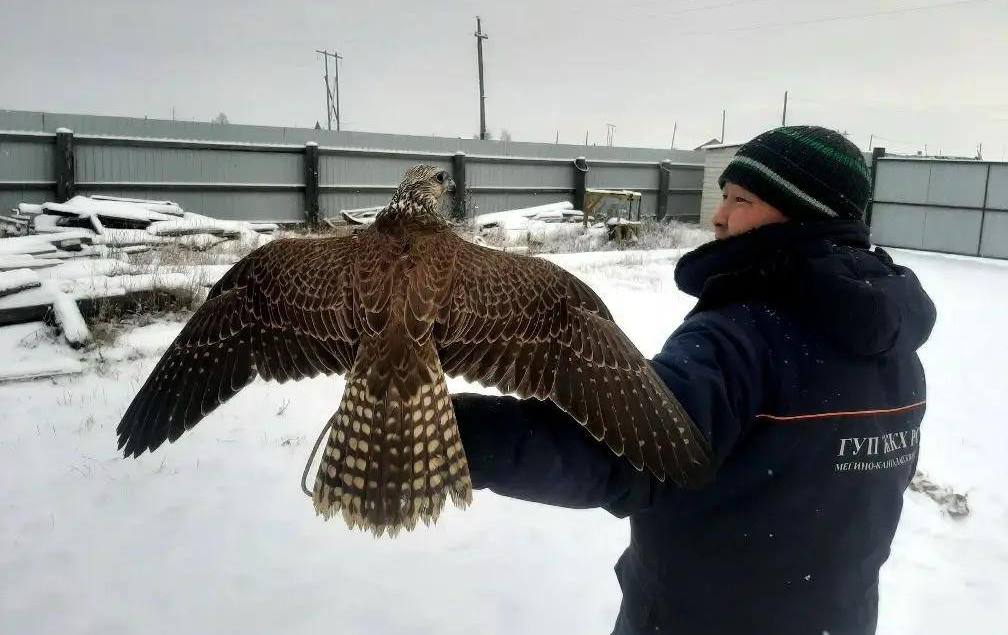 Человек труда: Василий Макаров — от ЖКХ до Тибета 