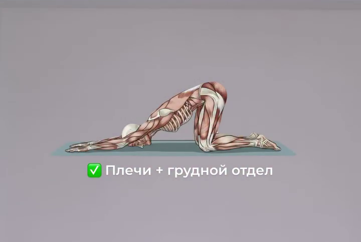 Холка исчезнет, если делать это каждый день