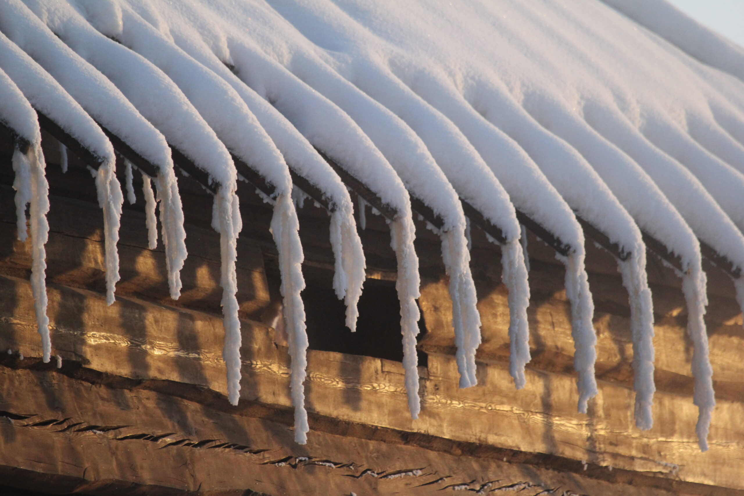 Нас ждут трехдневные выходные