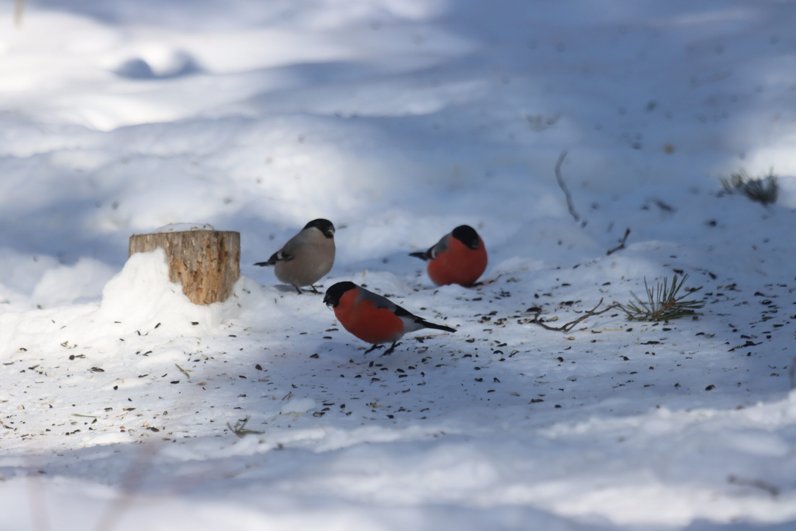 Зима, уходи: Местами всего -14°