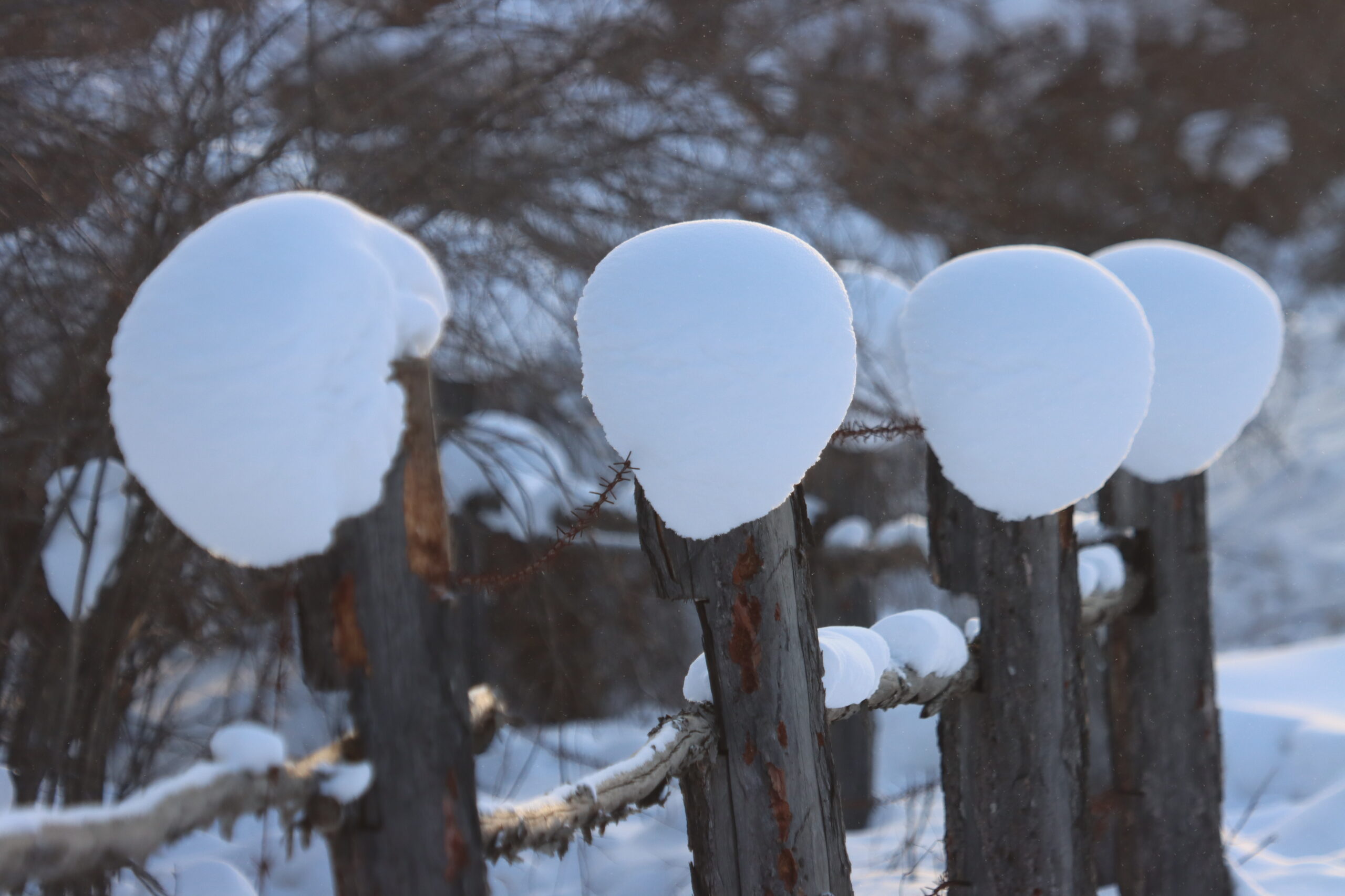 Последнее дыхание зимы приносит экстремальный холод до -54°