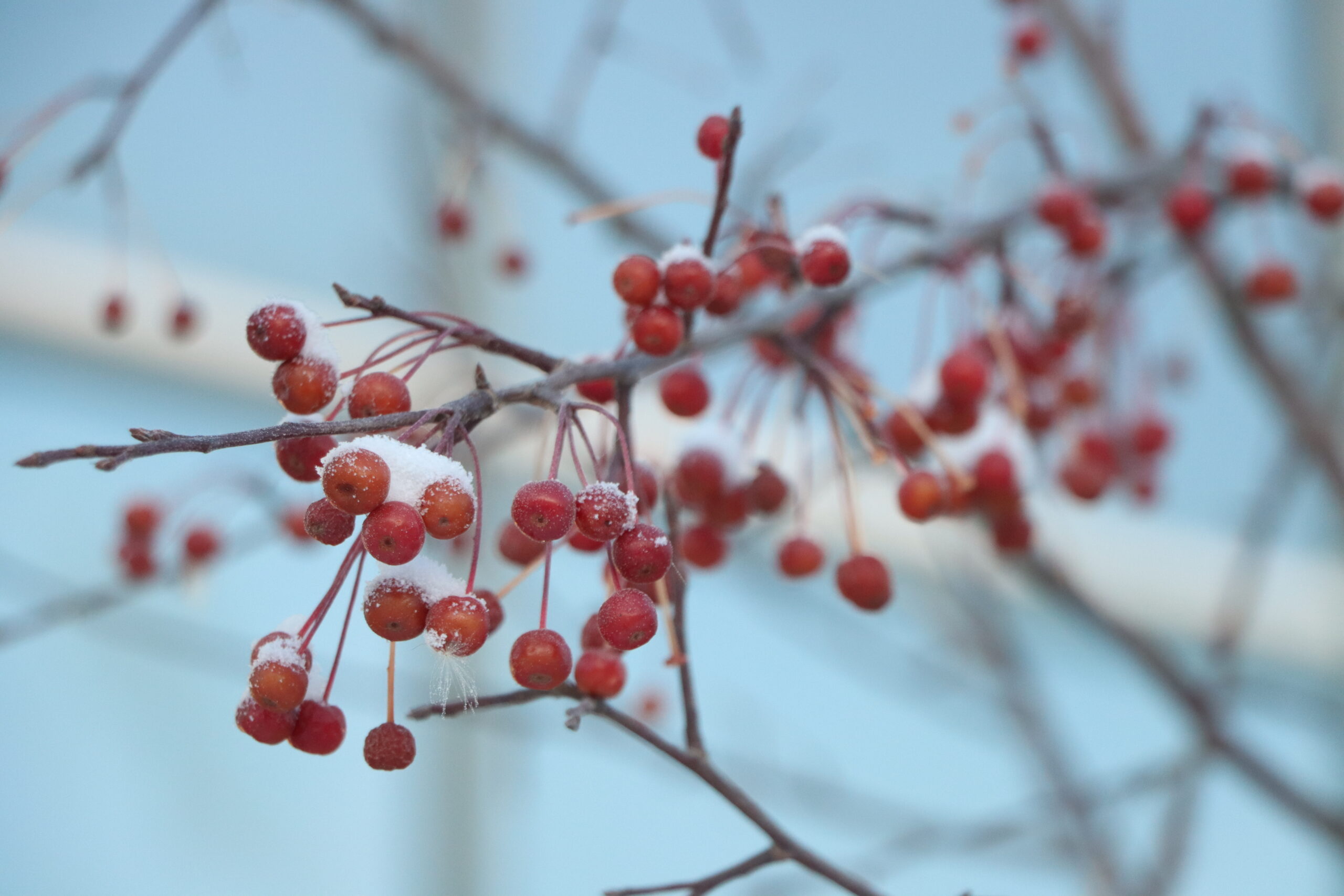 Нас ждет невероятное потепление до -15°