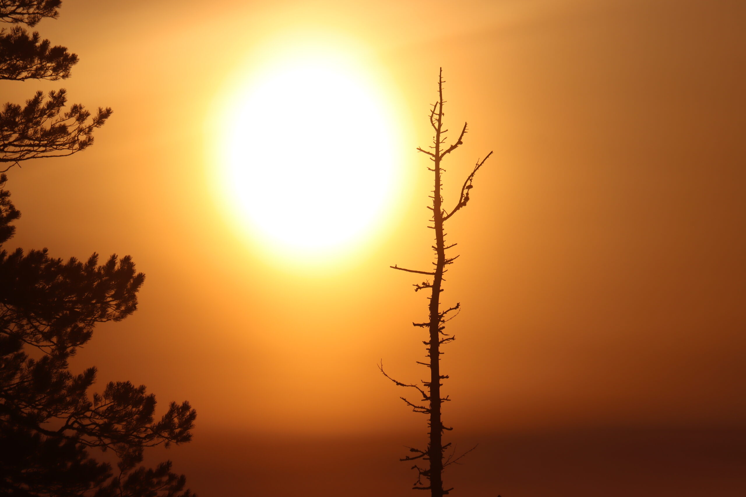 Разве это зима? Потеплеет до -10°