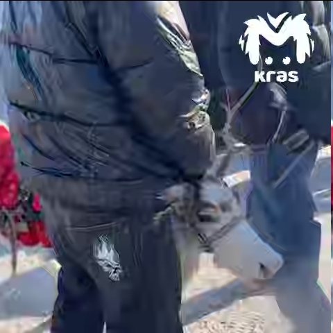 Без разрешения и без совести: измученный олень на ярмарке