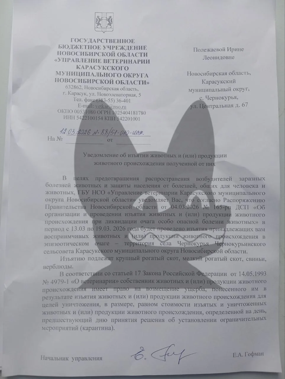 протесты 