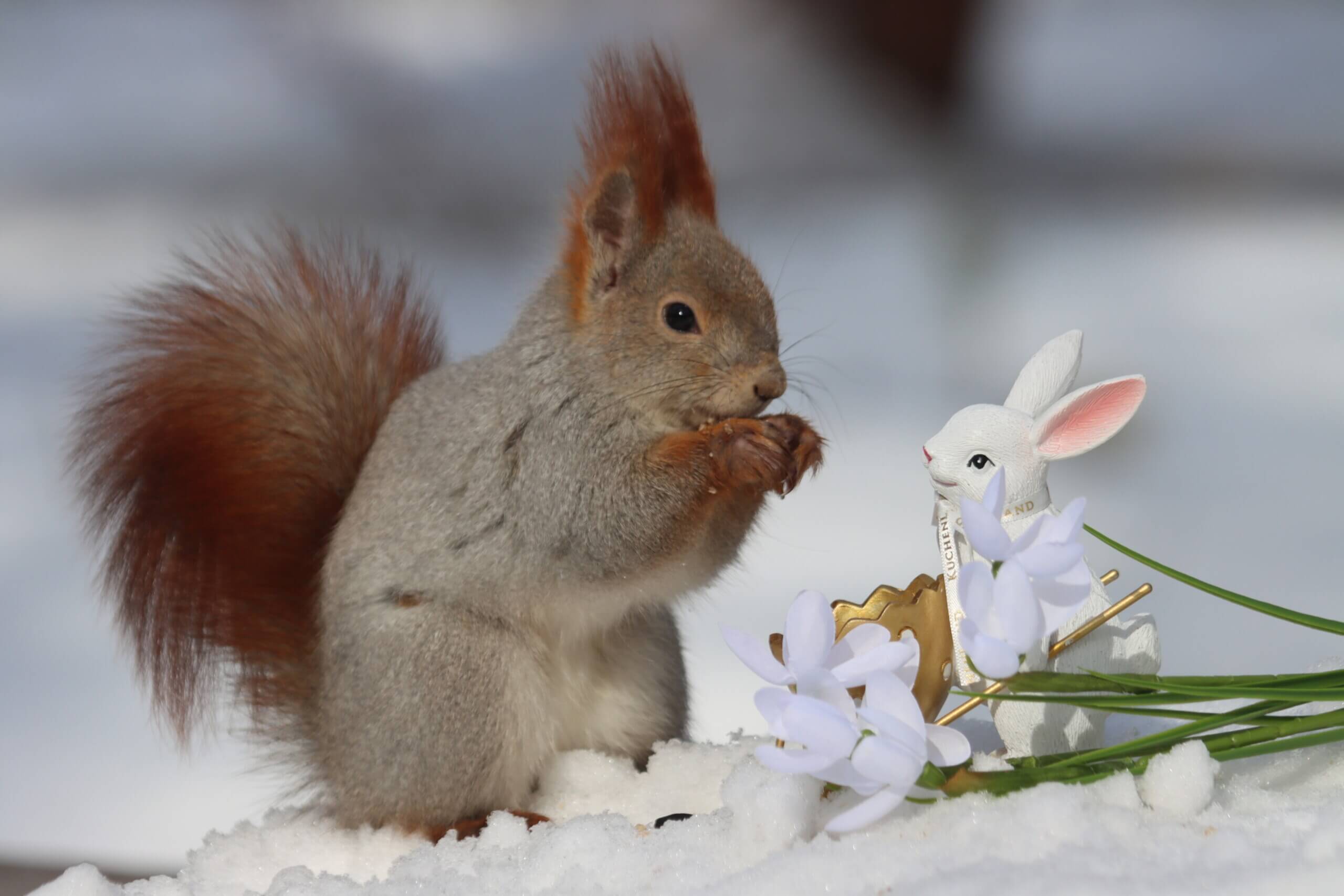 Весна наступила стремительно: В столице +7°