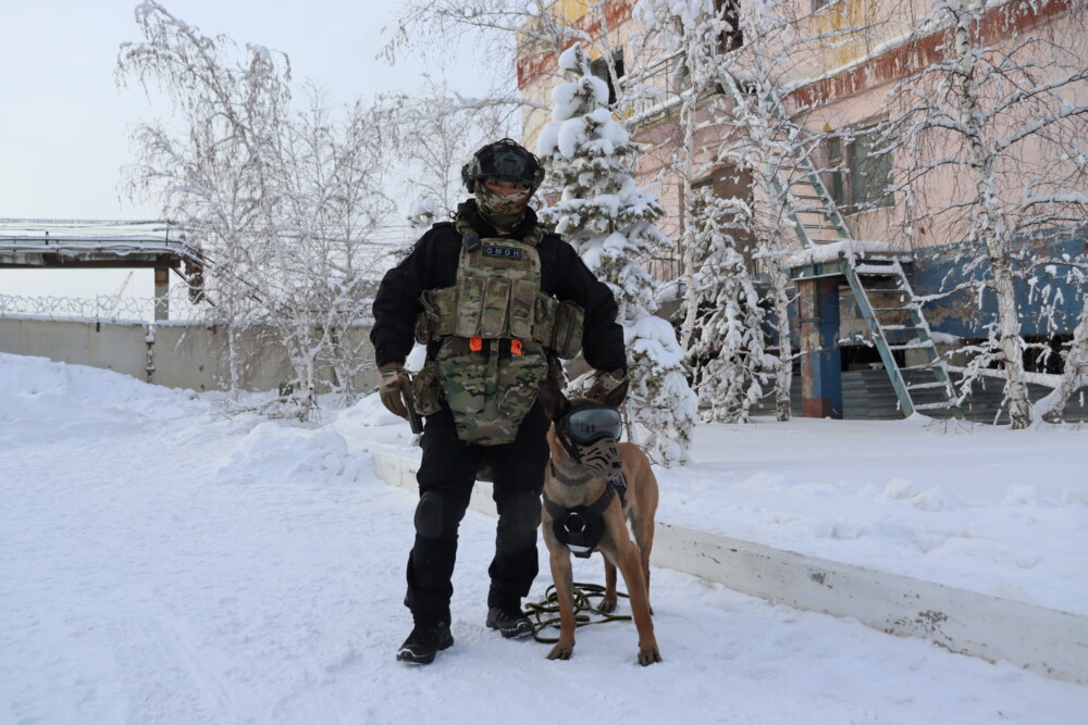 Поддержите Ястреба и Семёна: Непобедимый тандем