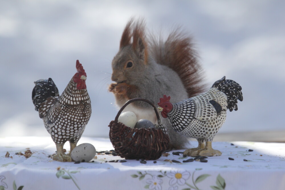 С каждым днем все теплее и теплее