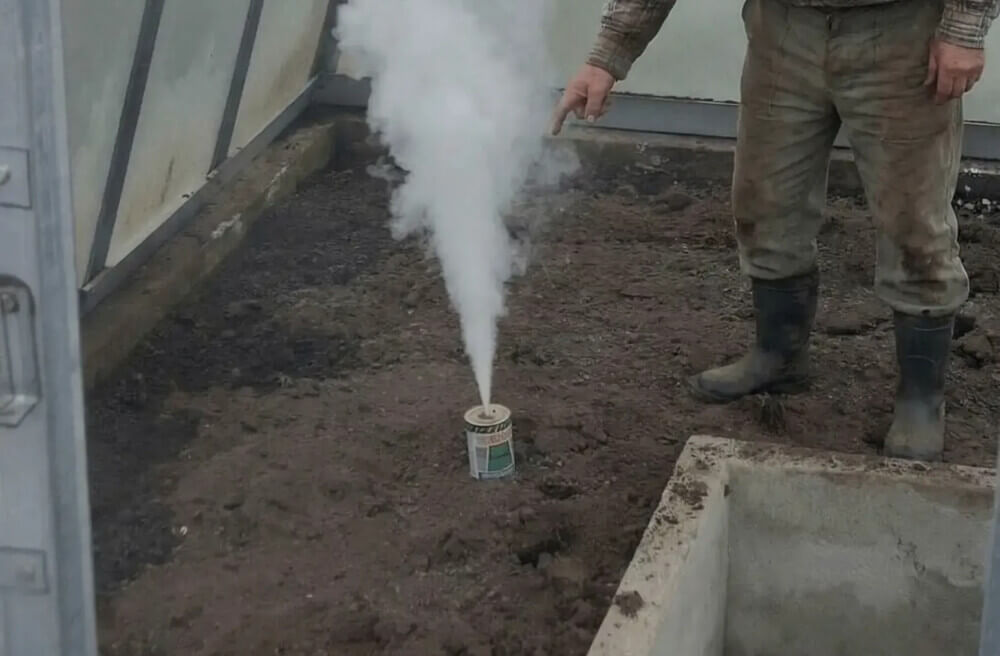 Весенняя аптечка для огорода: чем лечить землю, чтобы не лечить потом растения