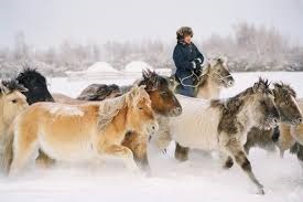 Ил Дархан: Табунное коневодство — особая гордость Якутии