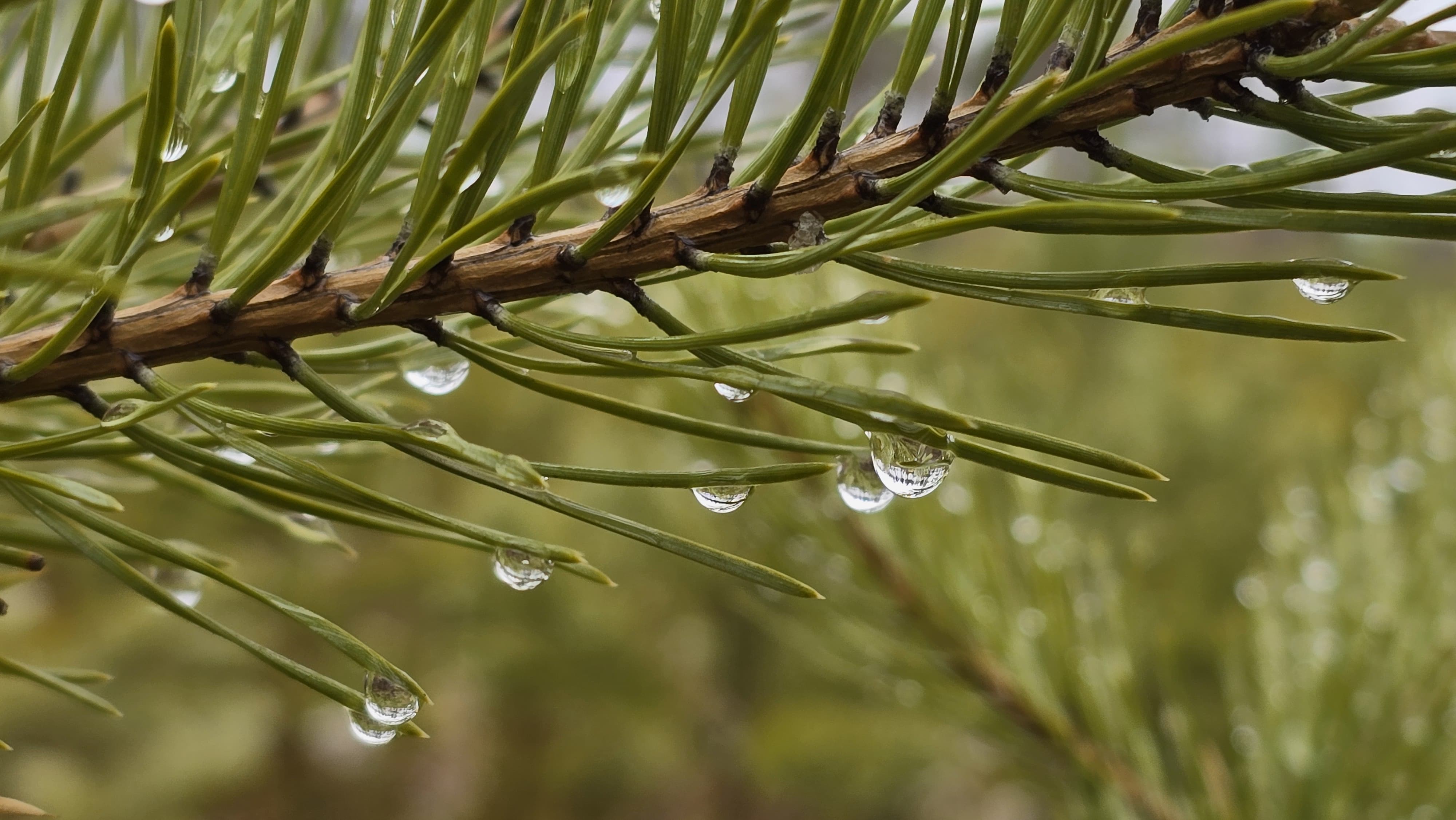 Погода не радует, но вы оставайтесь на позитиве