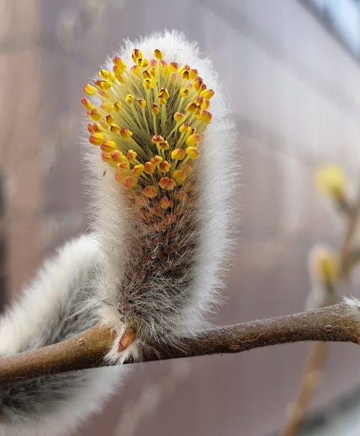 Погода располагает к активному отдыху на свежем воздухе