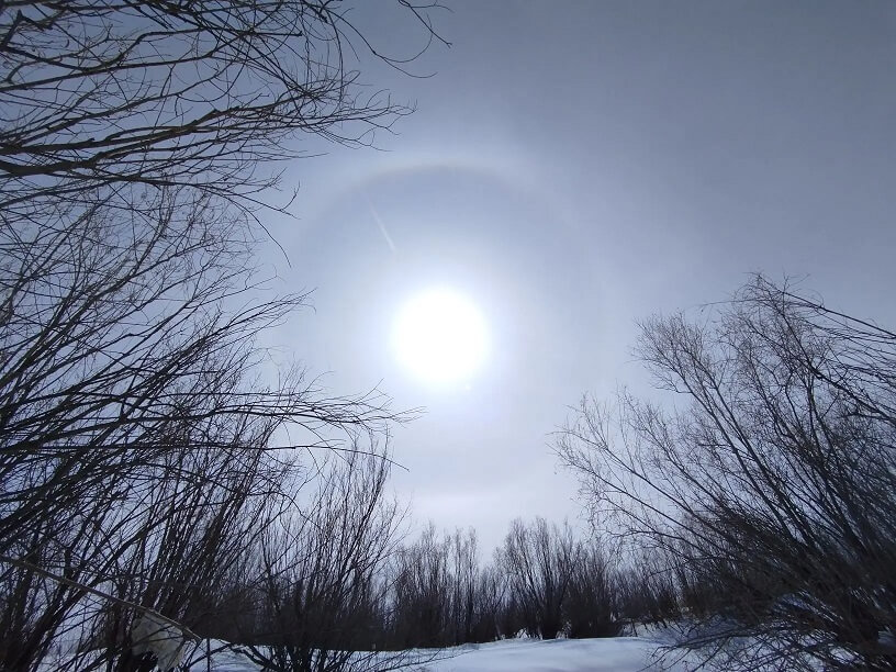 Погода: солнце побеждает снег!