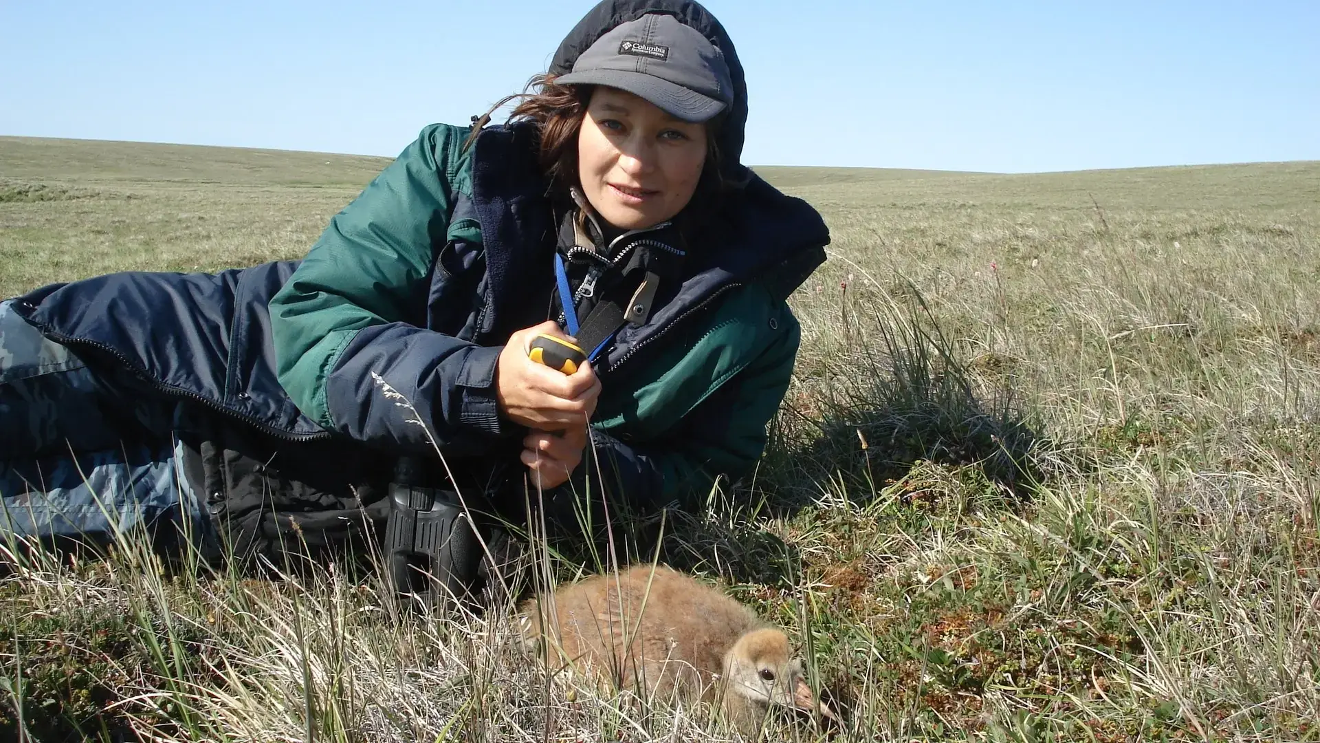 И все это в компании тучи комаров…