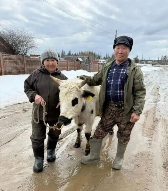 Уолчаан стал частью сельских праздников