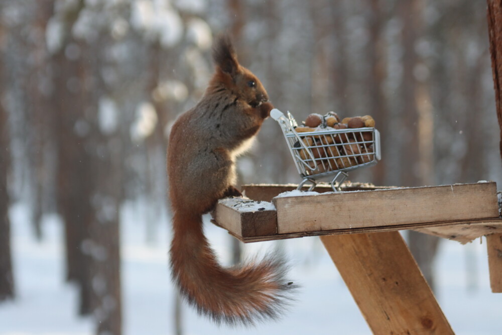 В столице нервная погода: Мокрый снег, гололедица, ветер
