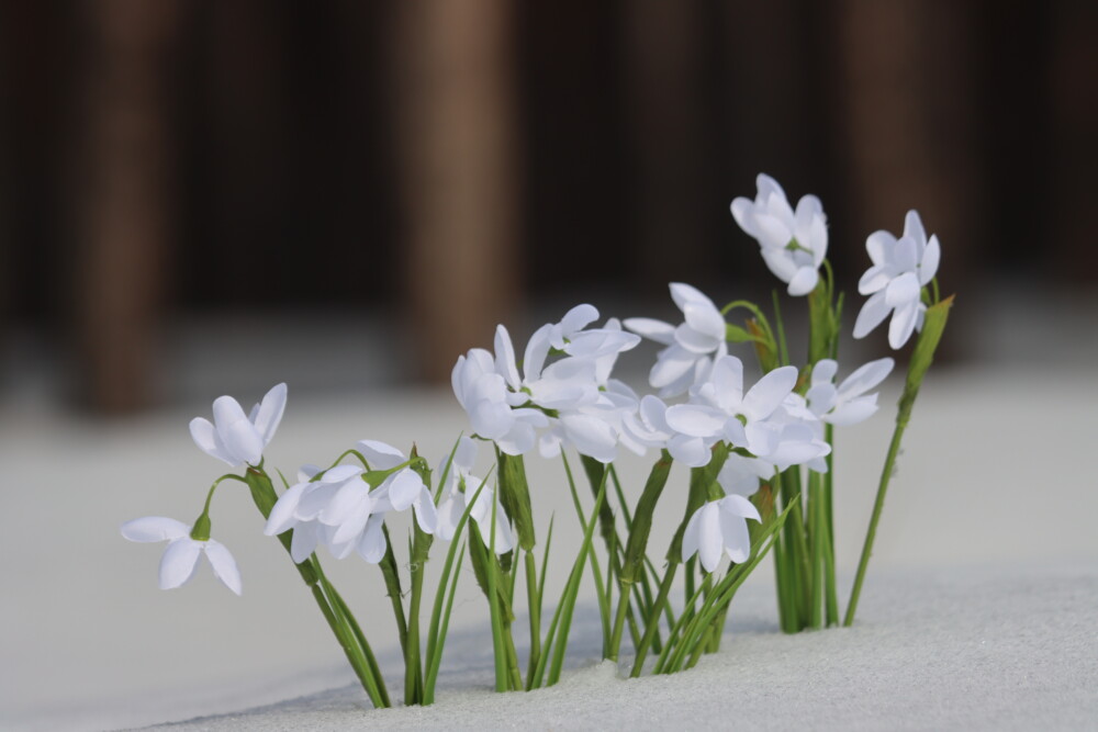 Погода паршивая: Сильный снег, гололедица, -28°