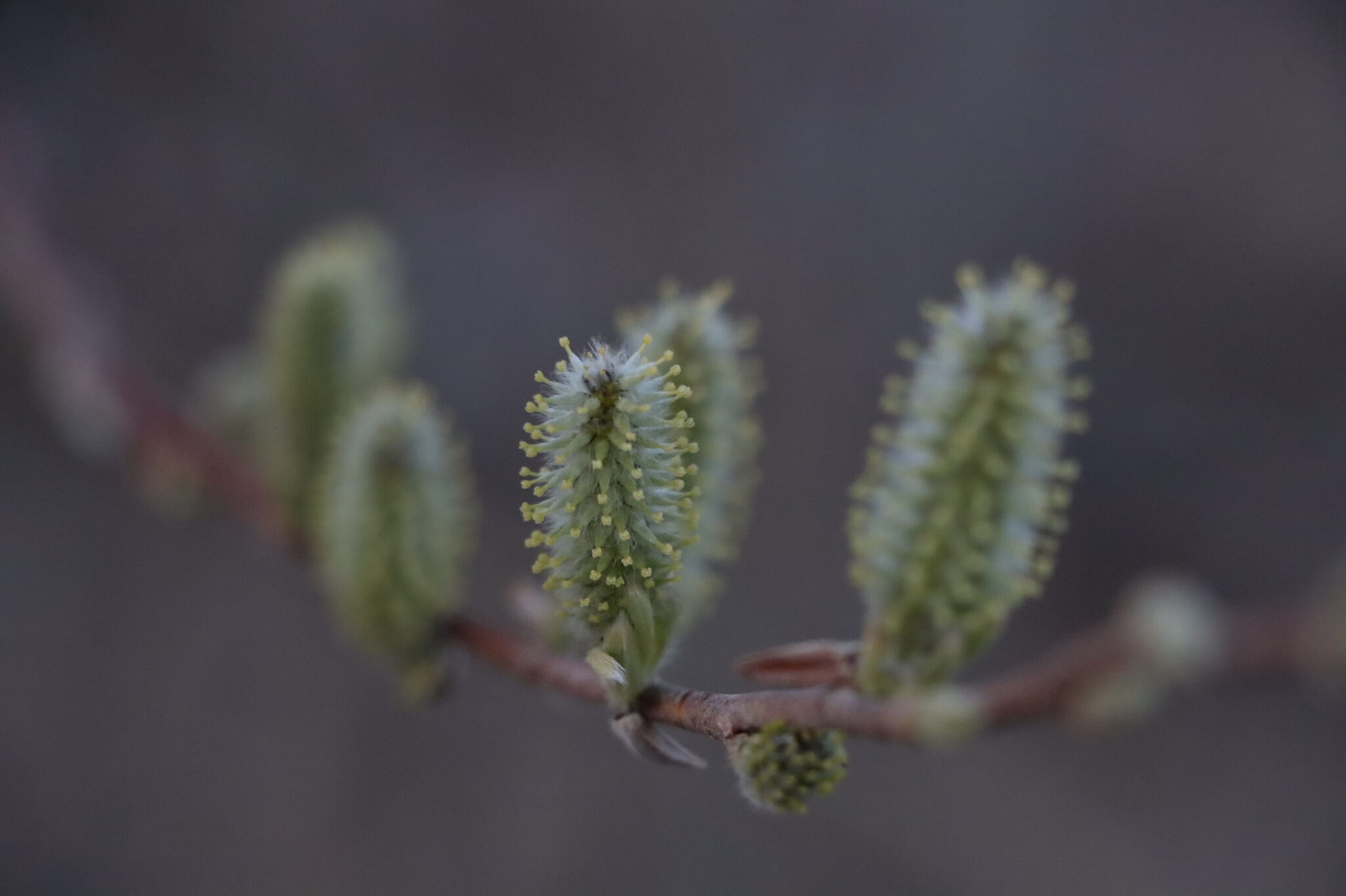 На улице ветрено и зябко: Местами -27°