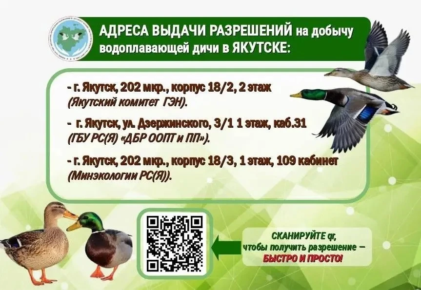Весенняя охота: где выдают разрешение на пернатую дичь?