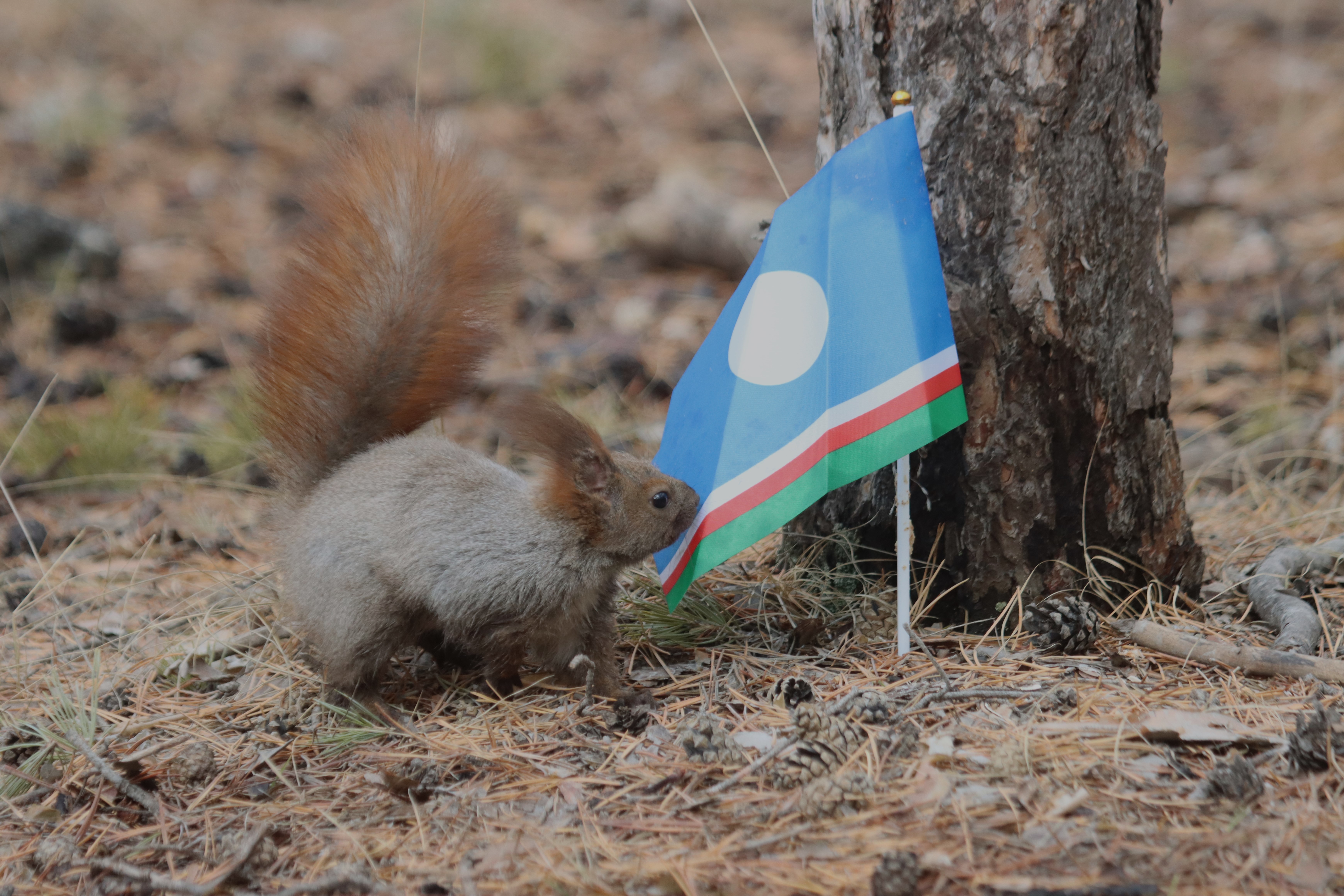 Погода в День республики: Первый дождь нового сезона