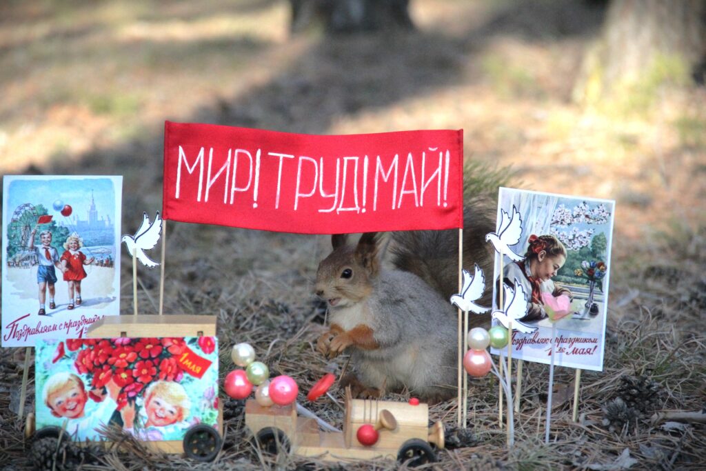 Первомайская погода — настоящая магия: +12°