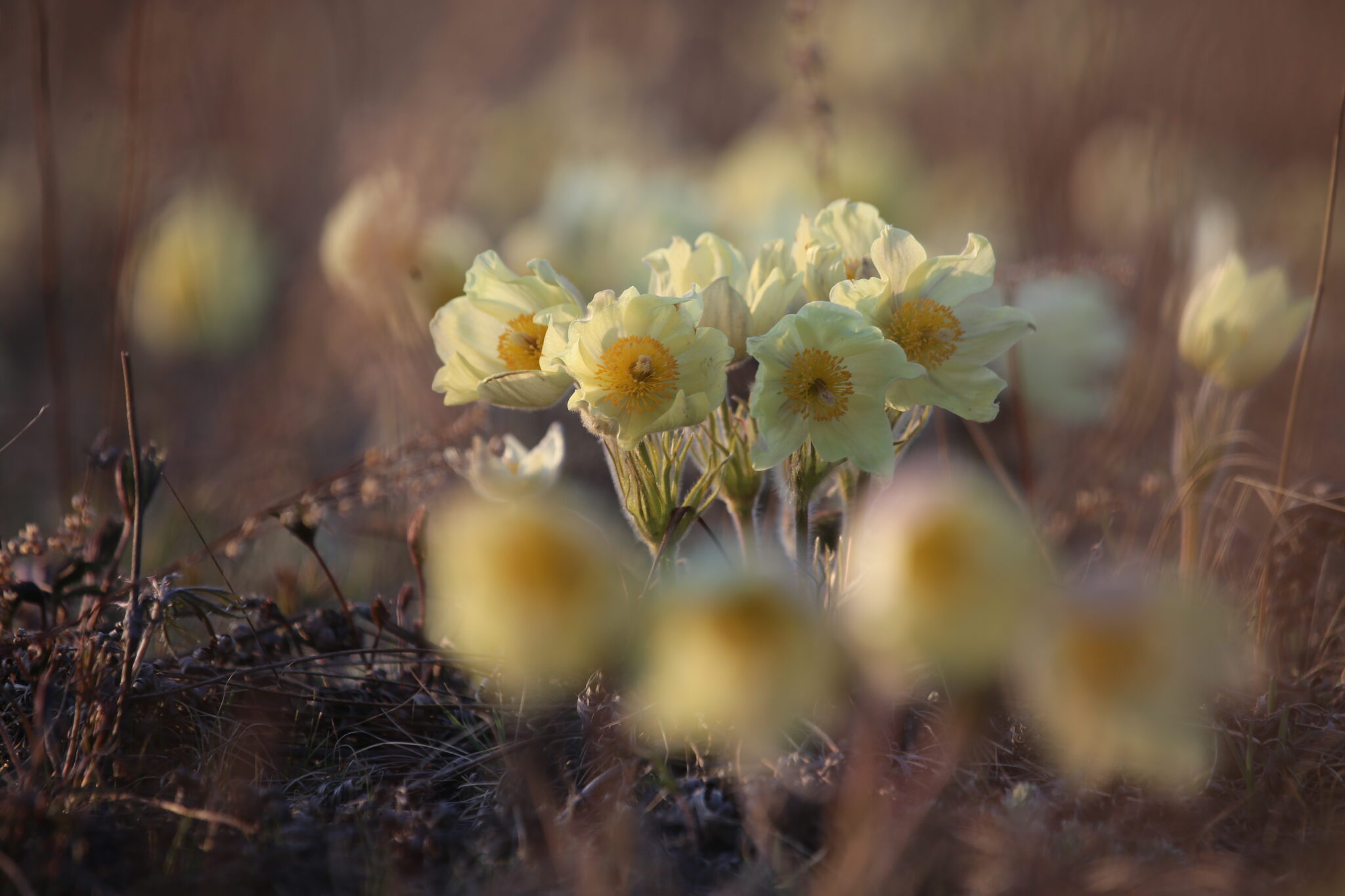 Дождь или снег: Всё будет!