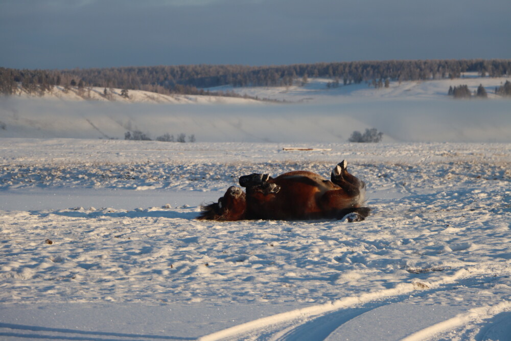 Мда: Ожидается 35-градусный мороз