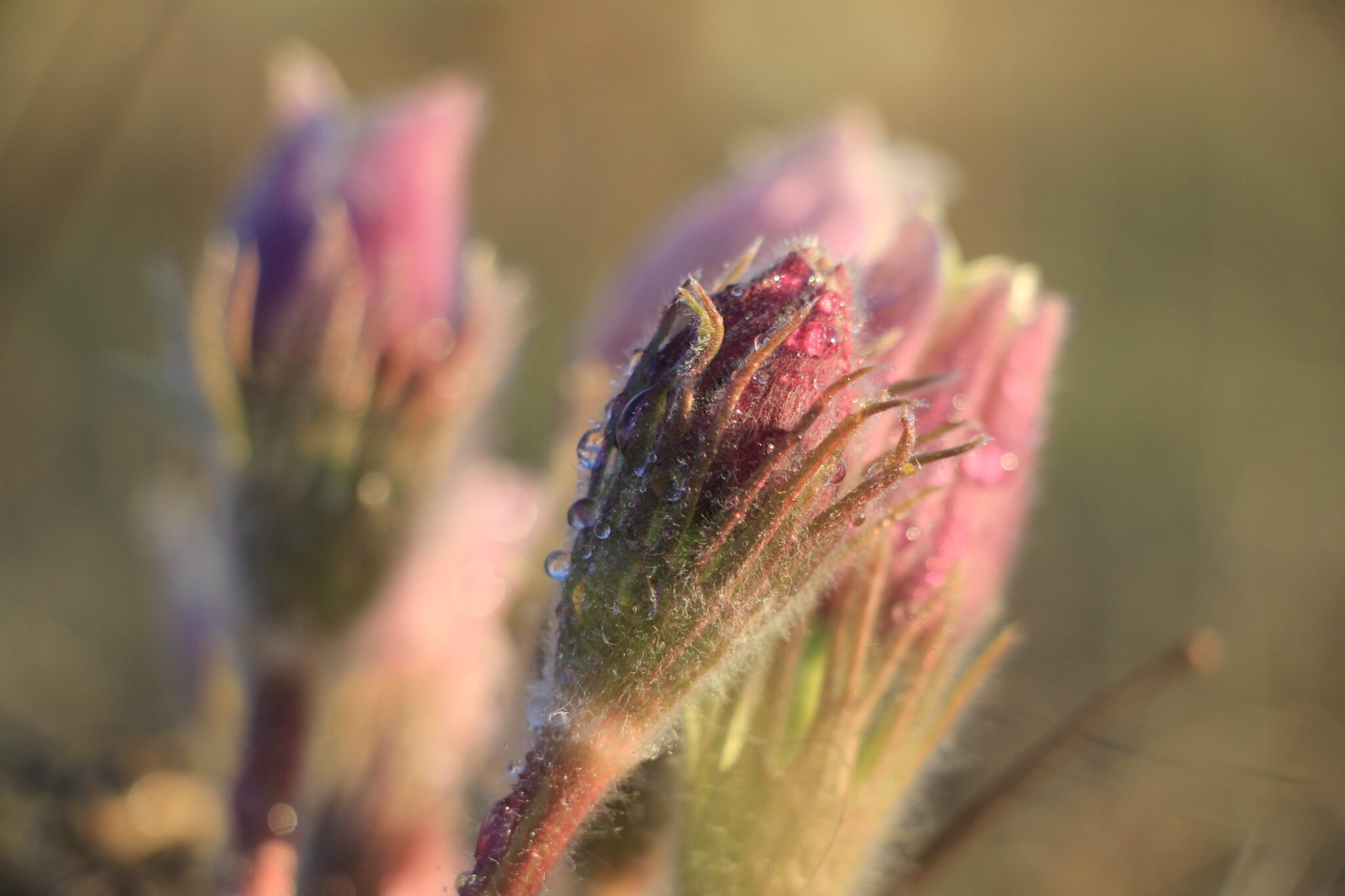 В столице тепло, но ветрено