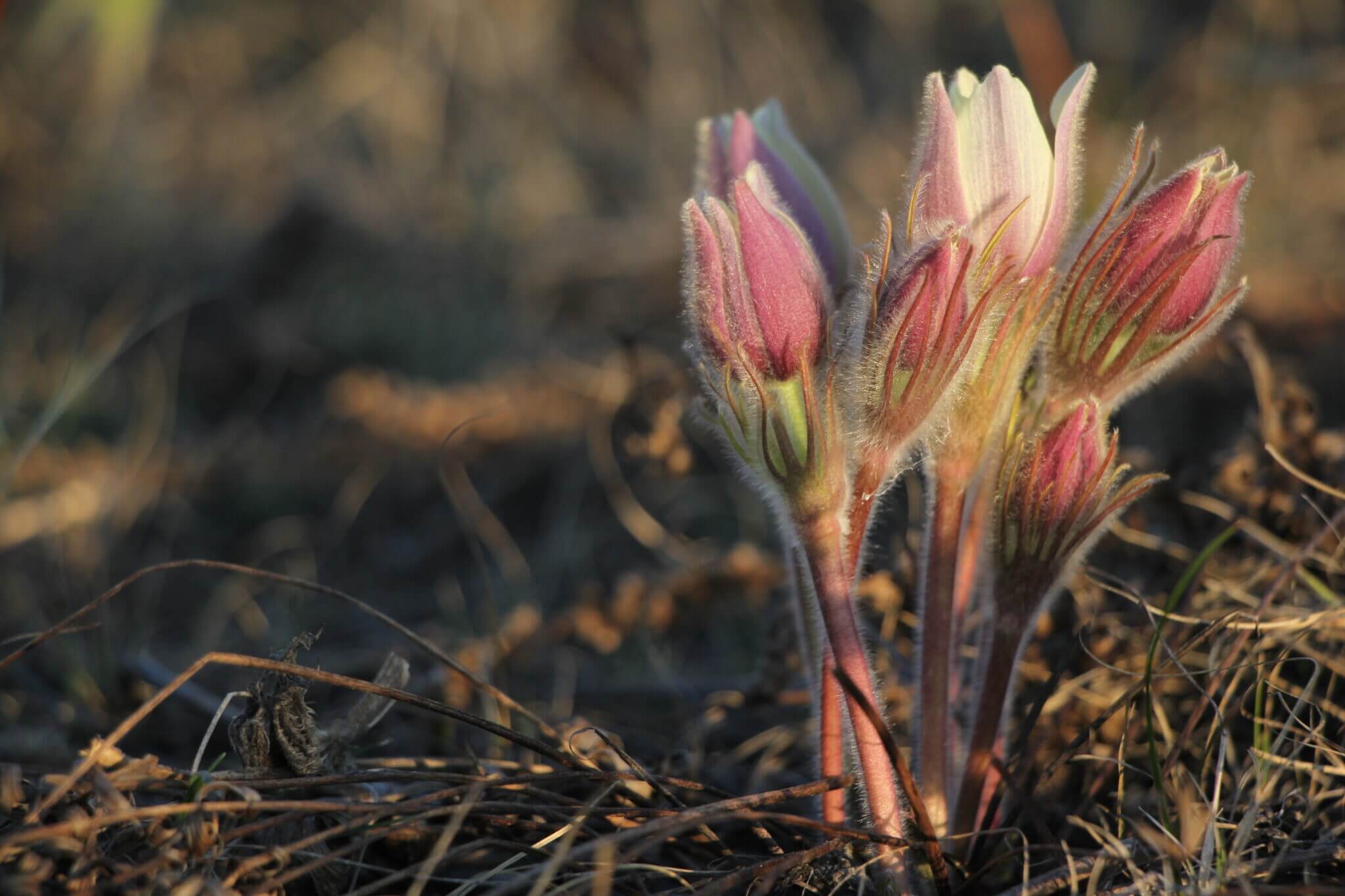 Нас ожидает короткая рабочая неделя
