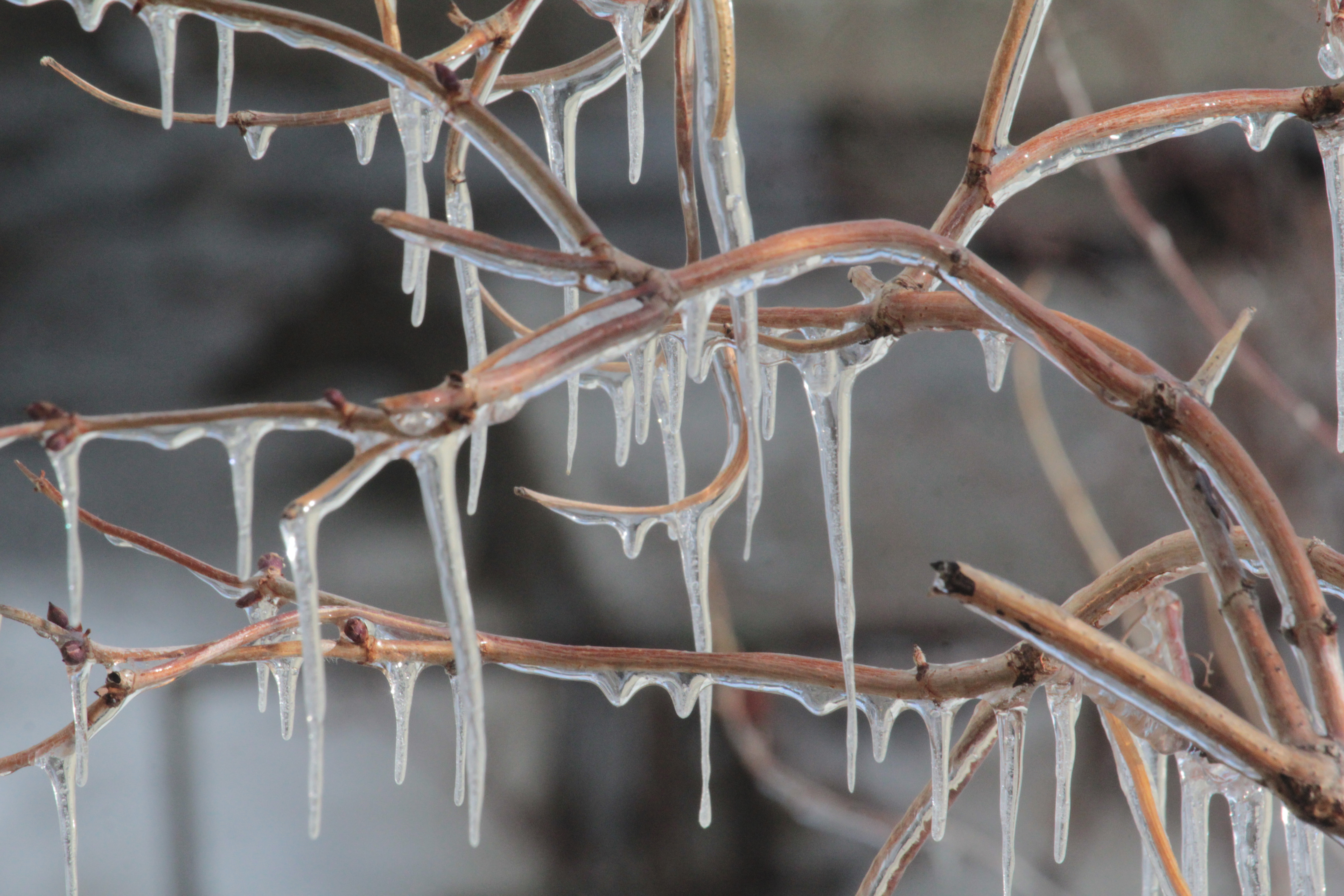 Тепло возвращается: Ожидается до +10°