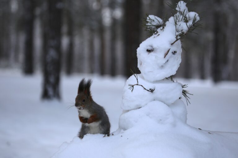 Сегодня в столице тепло