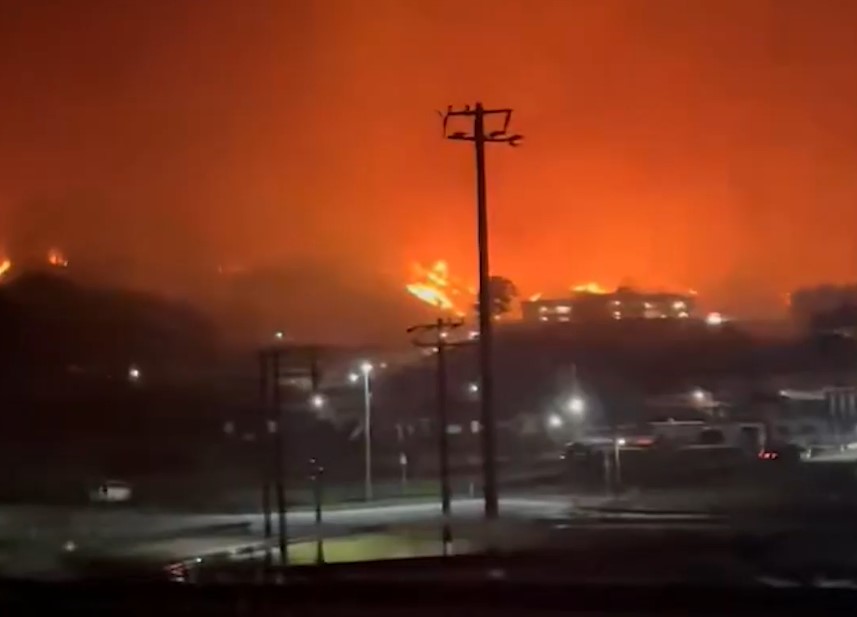 В Японии бушуют лесные пожары: Огнем уничтожено 200 гектаров