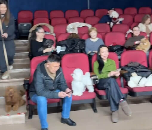 Смотрим якутское кино вместе с хвостатыми друзьями!