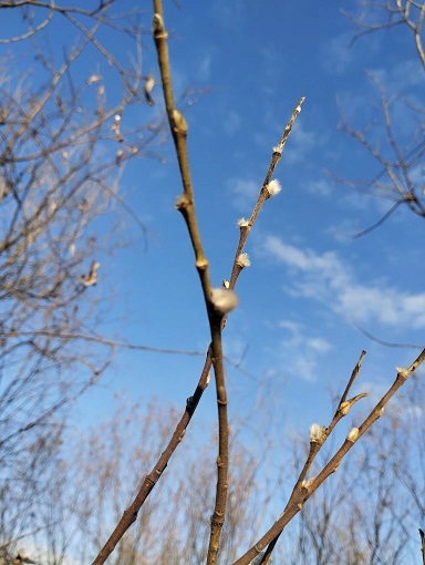 Гололед! Днем плюс, ночью минус